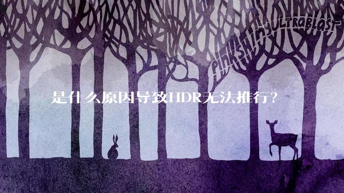 是什么原因导致HDR无法推行？