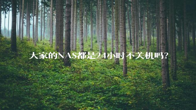 大家的NAS都是24小时不关机吗？